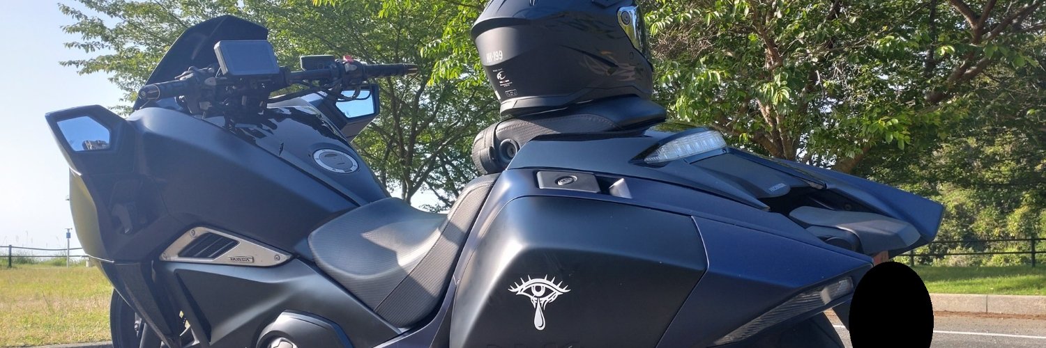 dragon_zi's profile banner image