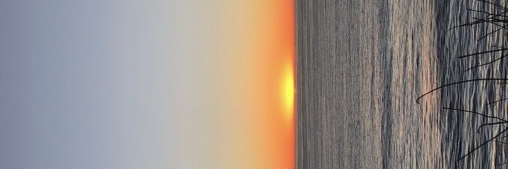 catvaIentiness's profile banner image