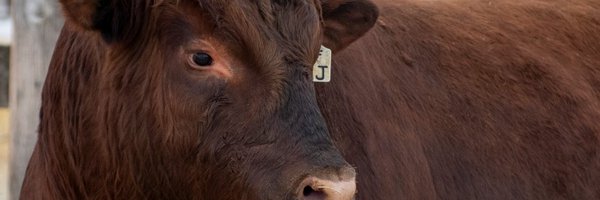 LustFarms Profile Banner