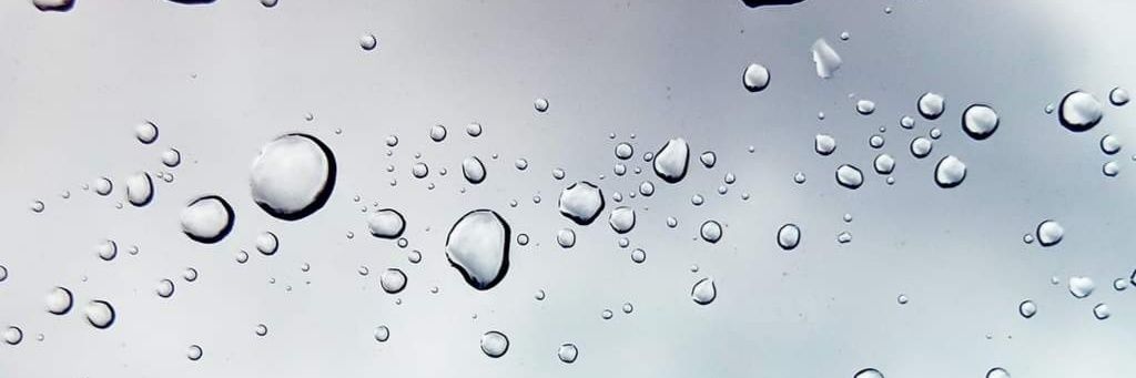 Health 𝗔𝘄𝗮𝗿𝗲𝗻𝗲𝘀𝘀| CSF Leaks and more 🌺 banner