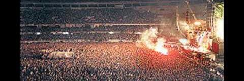 Petrovic volvé! banner