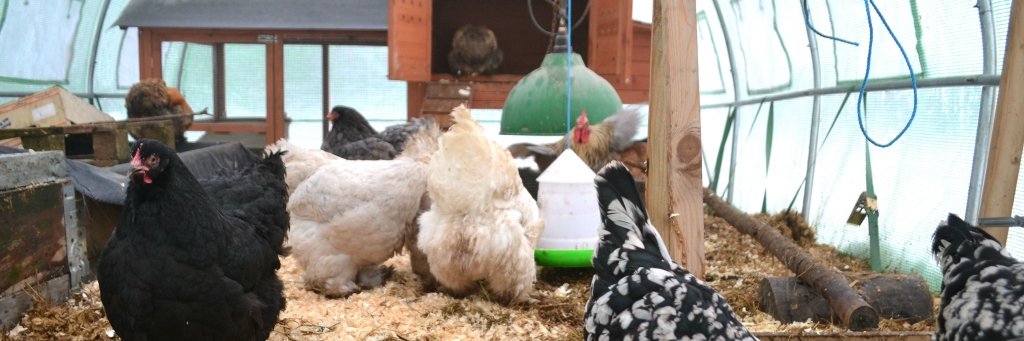 Henric Götefelt banner