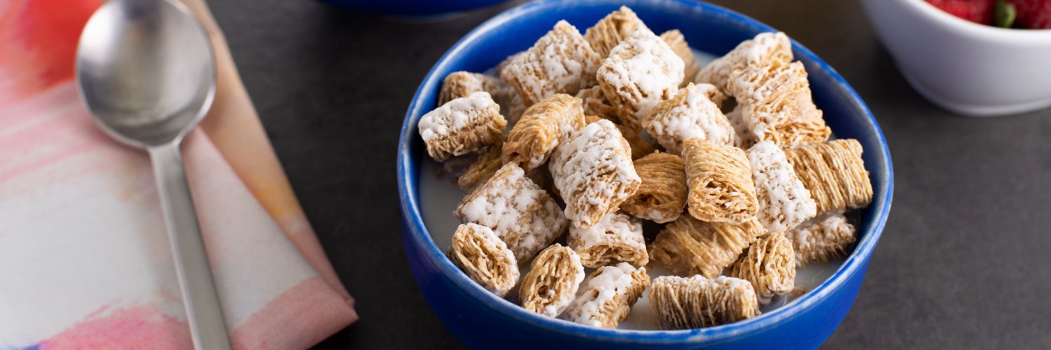 Frosted Mini-Wheats banner