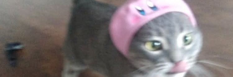 sheldss's profile banner image
