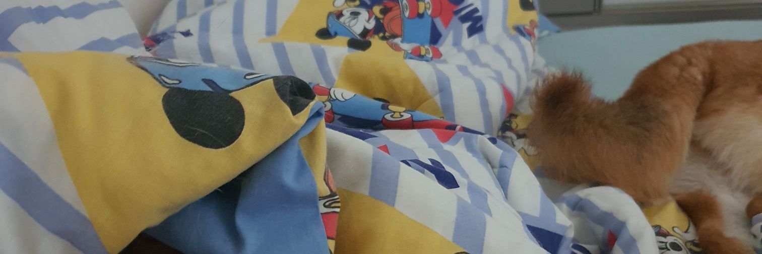 ainda com fome banner