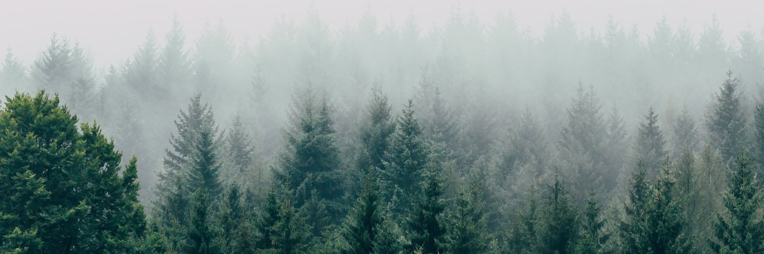 Lexis Grey's banner