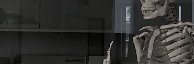 미미마이 banner