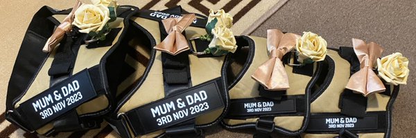 scoobyandharry Profile Banner