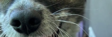 🎈੯∙̀͡u\ 김제로 banner