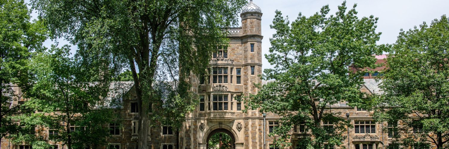 Dr. Mutlu Yasaroglu banner