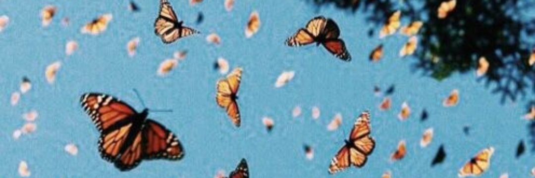 Luana_koprowski's profile banner image