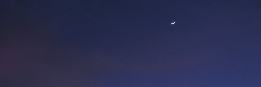 tprincessvicky's profile banner image