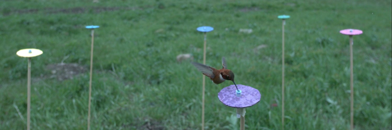 Dr MariaCTelloRamos(@mariatelloramos.bsky.social) banner