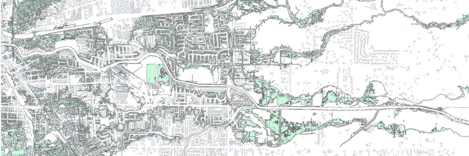 TunefulToad's profile banner image
