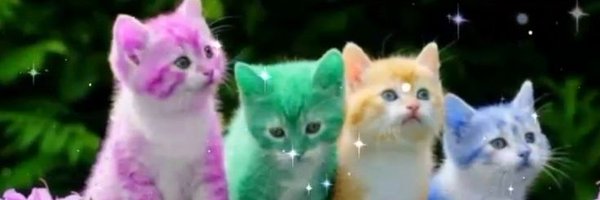 dogitigrade Profile Banner