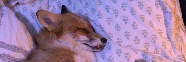 ✨🍑I_keep_it_juicy_juicy🍑✨ banner