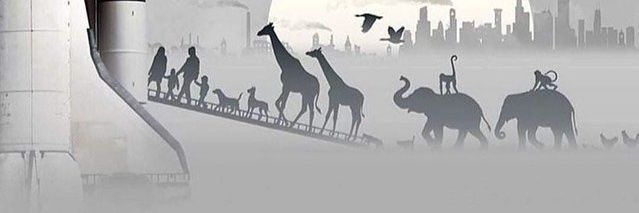odirekci's profile banner image