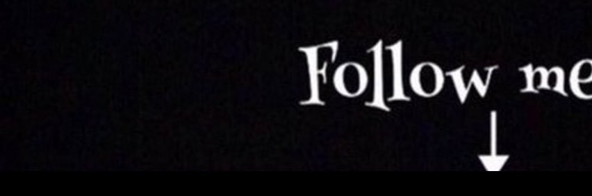 NOEPANTHER's profile banner image