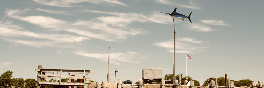 bigfishphil's profile banner image