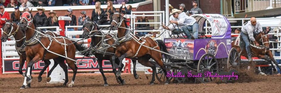 Shellie Scott banner