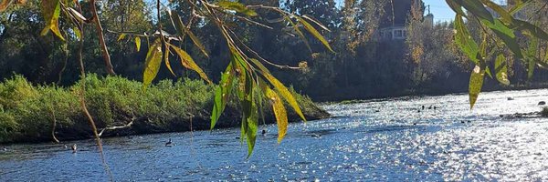 EricLacoursier1 Profile Banner