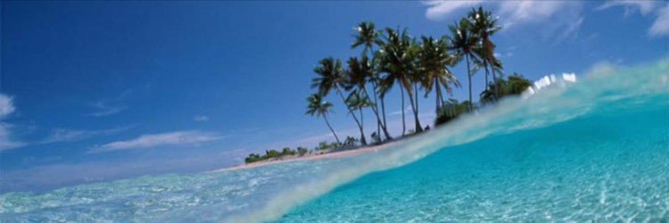 ✨OrLi GaRdA✨ banner
