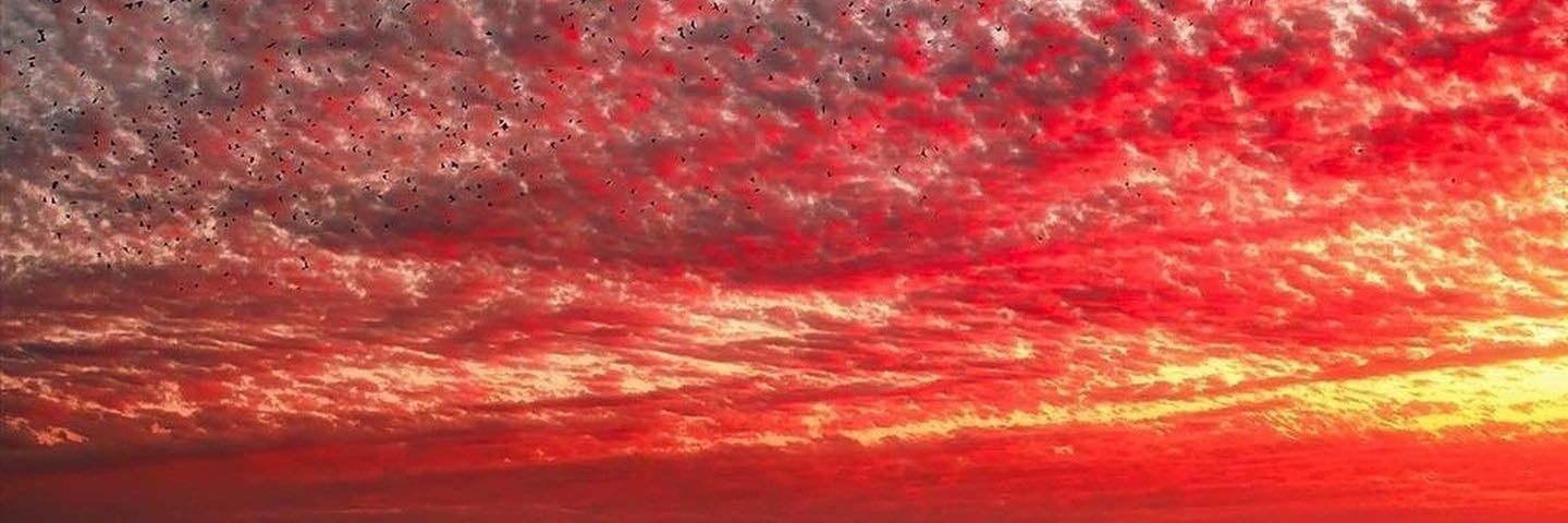 Imzo_wrld's profile banner image