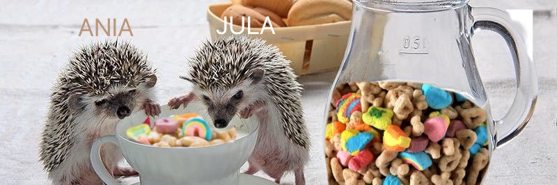 defekacja's profile banner image