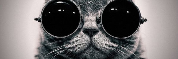 potonoseee's profile banner image