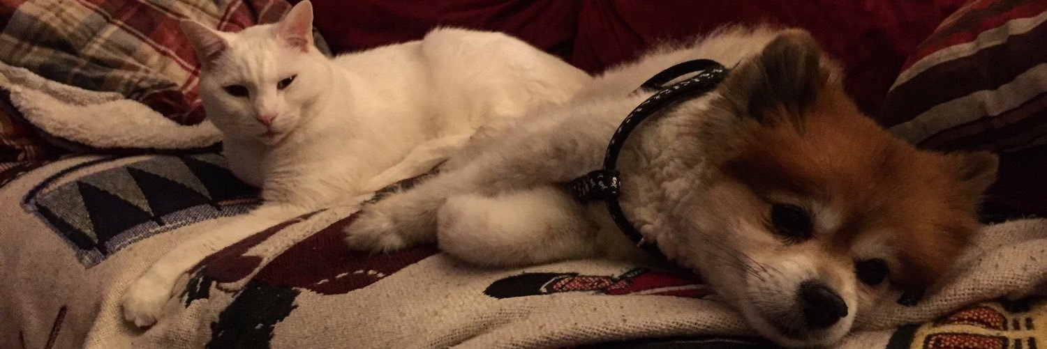 Jer: the Truth Hunter ✝️🇺🇸😇 banner