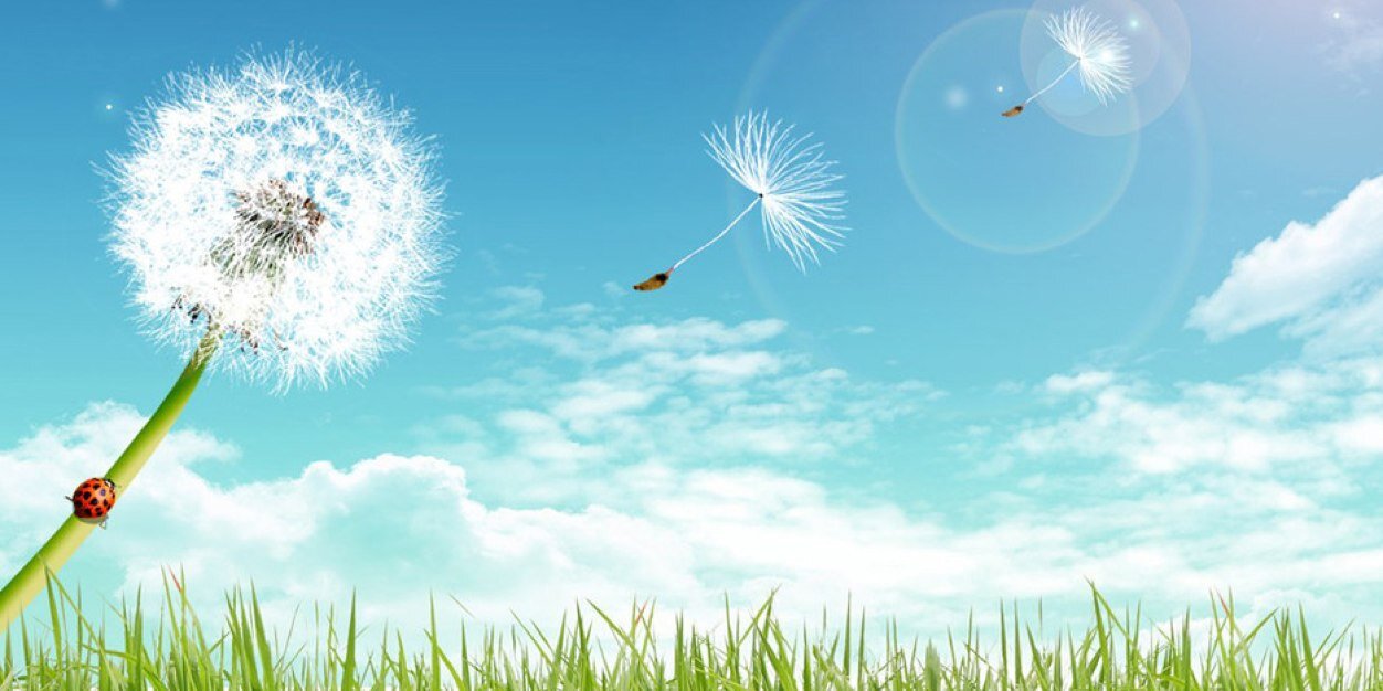 chsh1387's profile banner image