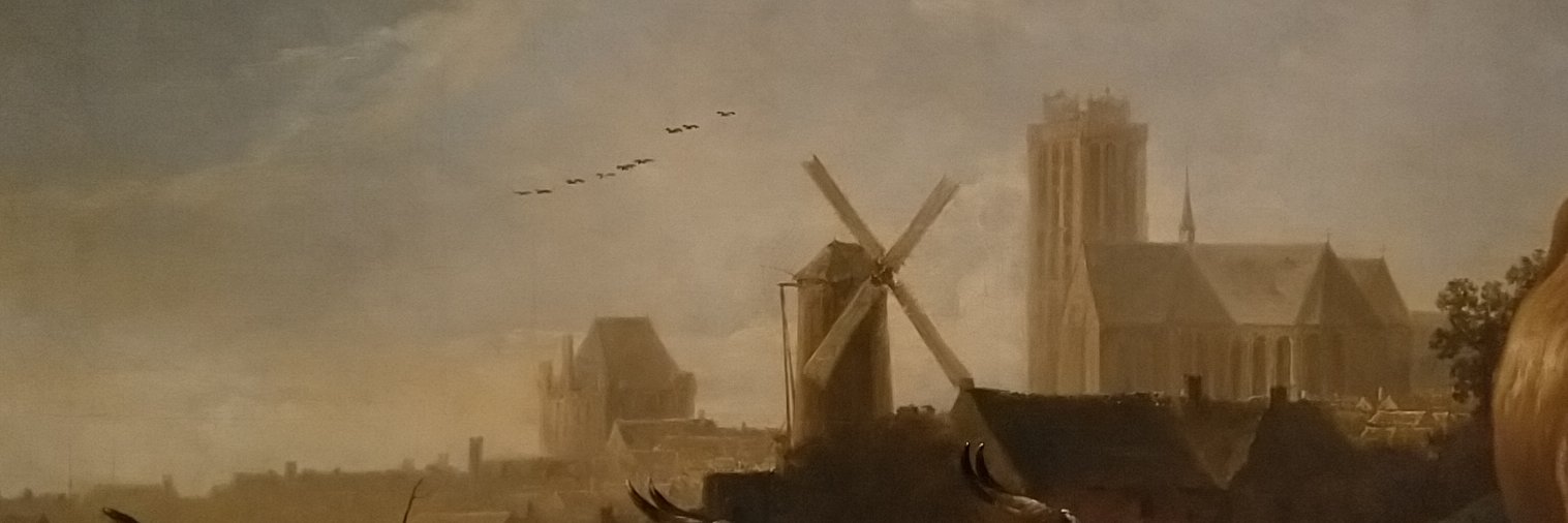 MeyerJeroen's profile banner image