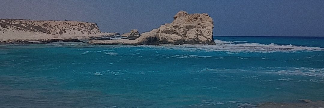 SaraAla34328792's profile banner image
