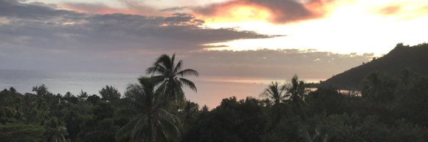 Sternarchella Profile Banner