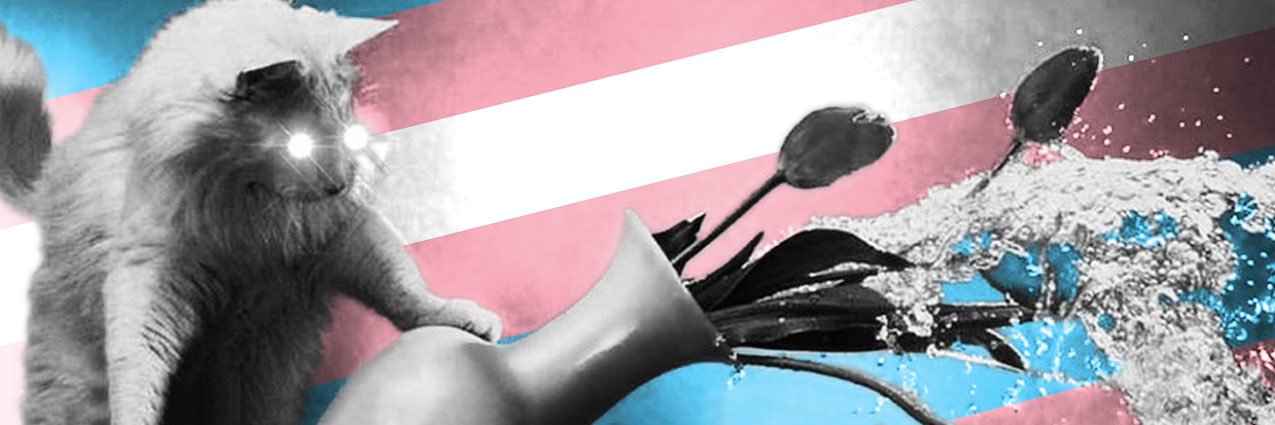 Sage 🏳️‍⚧️ banner