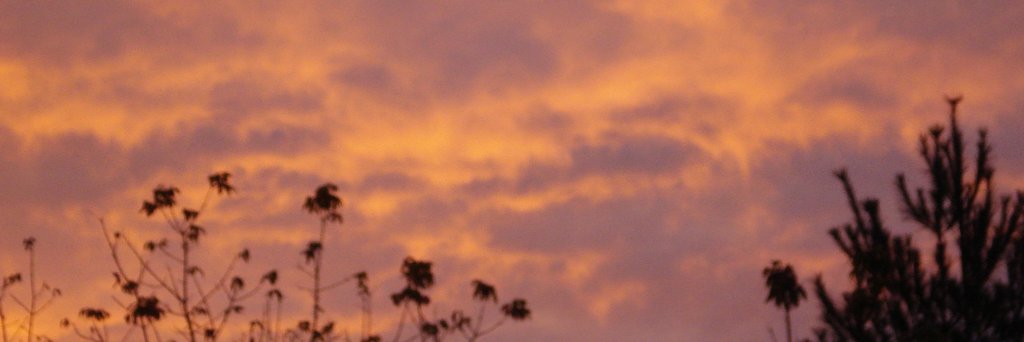 babbleski's profile banner image