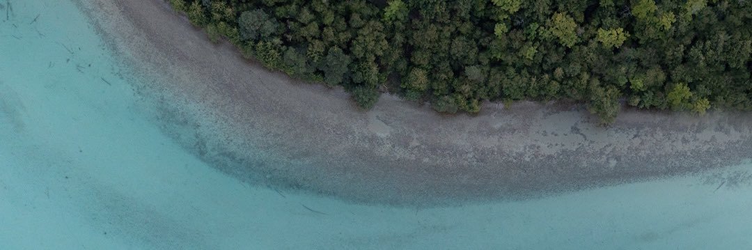 Kayla Bartkowski banner