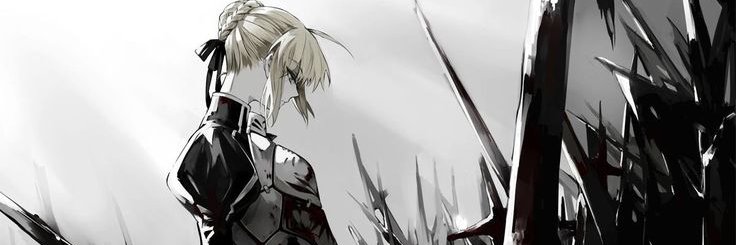 NotProfessional2 banner