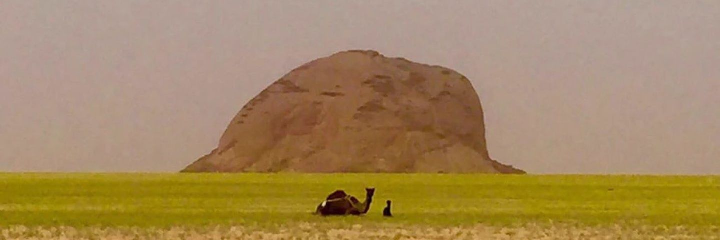 rak1975's profile banner image