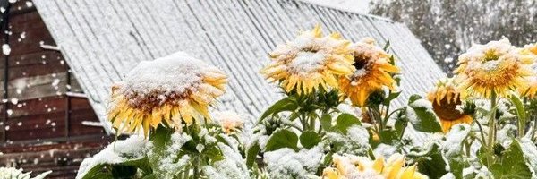 Whytyler_why Profile Banner