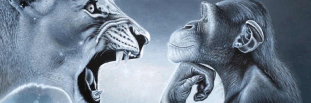 RahimSu Kapkap's banner