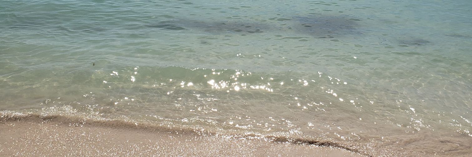 mujermara's profile banner image