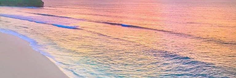 Annelice_B's profile banner image