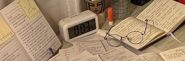 manuzinha ♡ banner