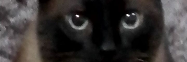 fill praga homodemoníaca banner