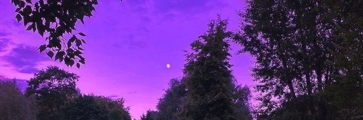 B_de_Bishop's profile banner image