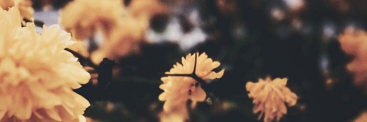 applejax17's profile banner image