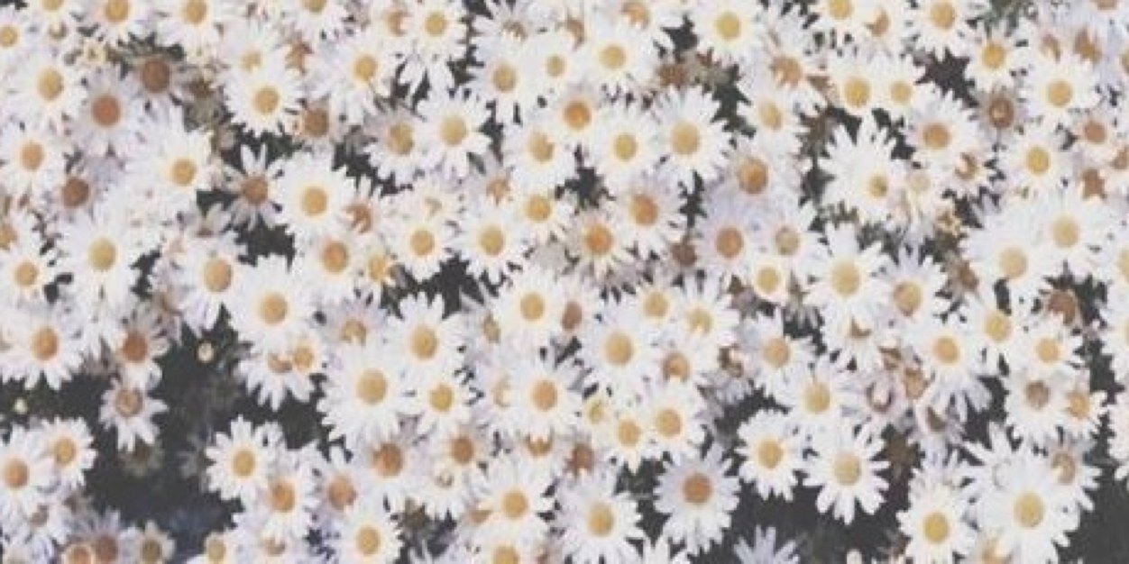 LucyCottagee's profile banner image