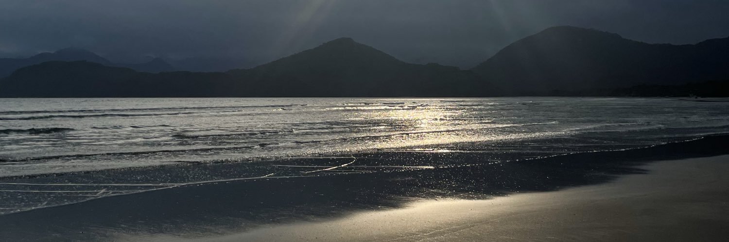 Nicolas Santos banner