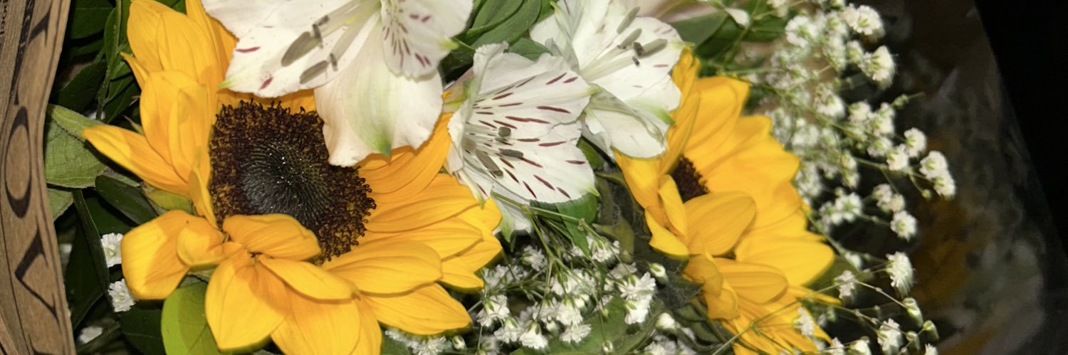 vitt_rosa's profile banner image